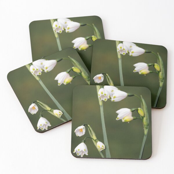 Item preview, Leucojum Aestivum ( Summer Snowflake ) flowers designed and sold by JEZ22.