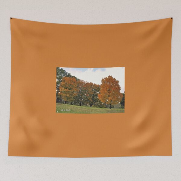 Item preview, "Fall 2009 - West Knoxville, Tennessee - 4"... prints and products designed and sold by Bob Hall©.