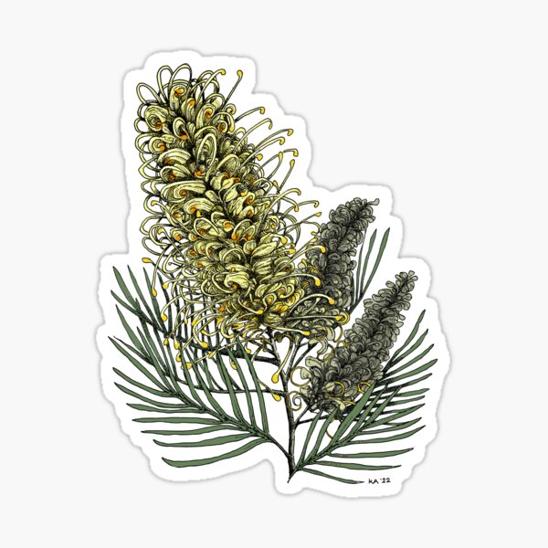 Item preview, Australian Native Flower Grevillea Illustration designed and sold by KateHearts.