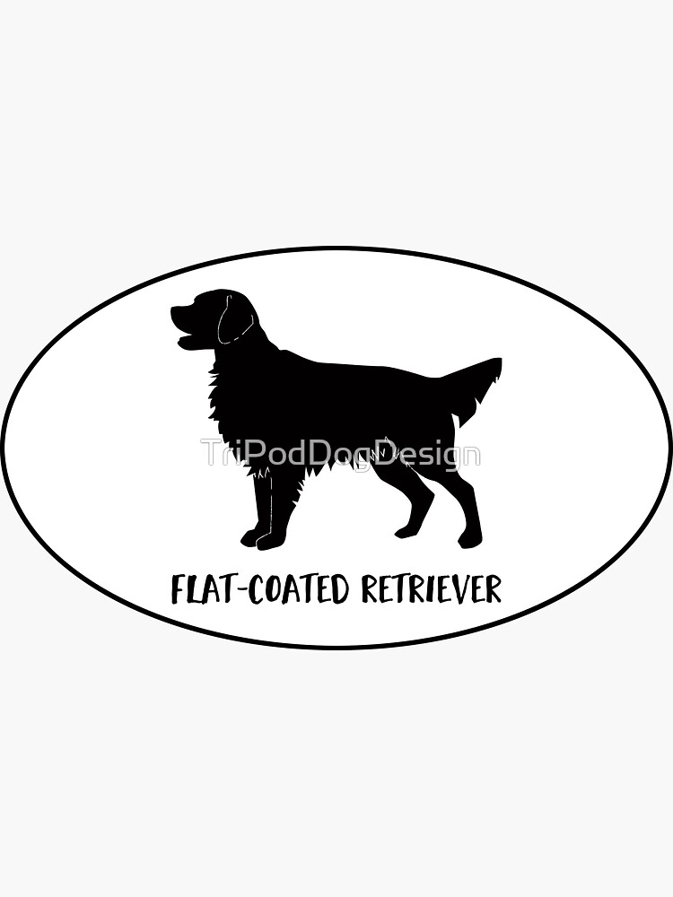 Flat-Coated Retriever Dog Breed Classic Black Silhouette in Oval by TriPodDogDesign