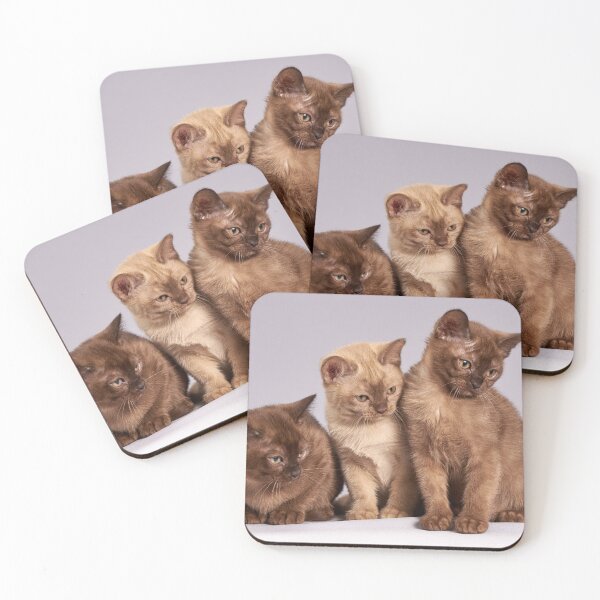 Item preview, Beautiful Cats designed and sold by Metaverse8.