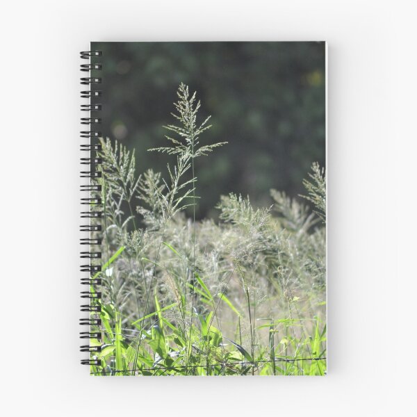 Item preview, Long Grass designed and sold by TheaShutterbug.