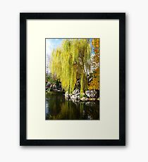 Tranquility Framed Print