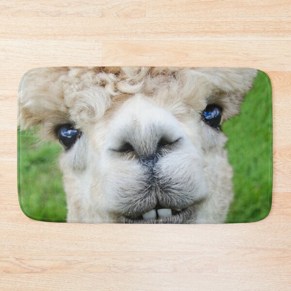 Item preview, Brucie the Alpaca designed and sold by Steven Jodoin.