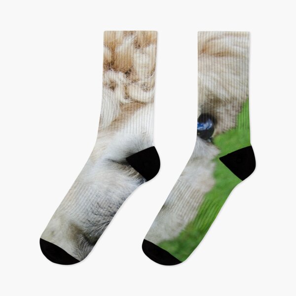 Item preview, Brucie the Alpaca designed and sold by Steven Jodoin.
