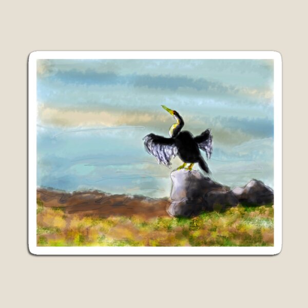 Darter Magnet