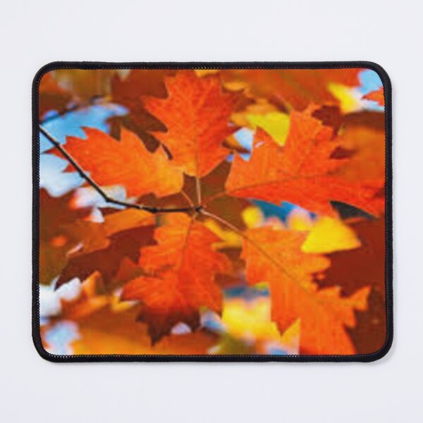 Item preview, orange oak leaves designed and sold by nigejohn.