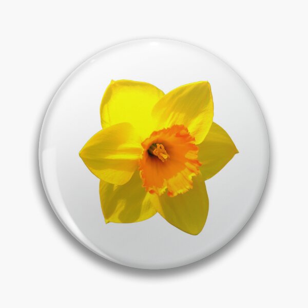 Item preview, Narciso designed and sold by Thavi.