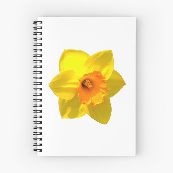 Item preview, Daffodil designed and sold by Thavi.