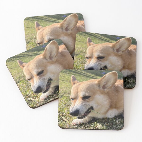 Item preview, A hungry corgi designed and sold by willy92.