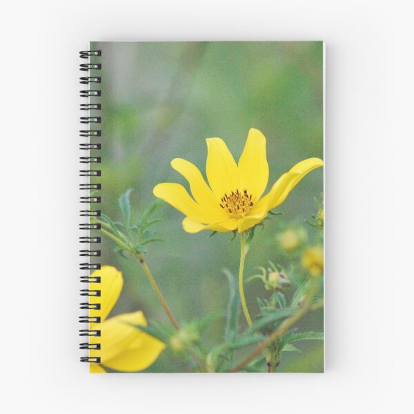 Item preview, Yellow Wildflower by Respite Artwork designed and sold by Respite Artwork.