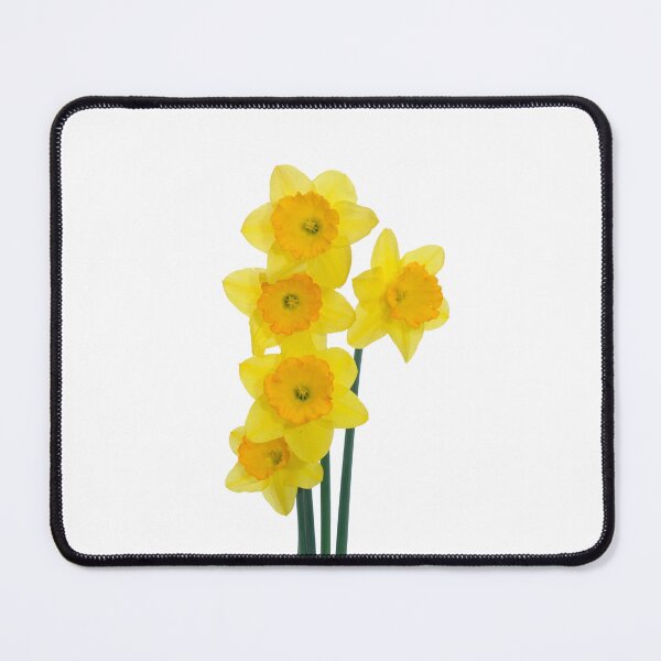 Item preview, Daffodils designed and sold by Thavi.