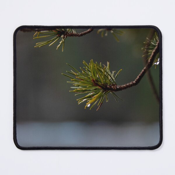 Item preview, Glen Tanar Sunrise designed and sold by AgriPhotoUK.