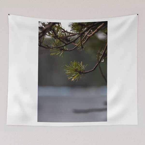 Item preview, Glen Tanar Sunrise designed and sold by AgriPhotoUK.