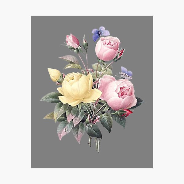 Fleurs (fond gris) Impression photo
