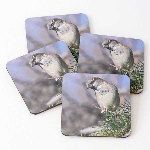 Item preview, r682/ Un Amour de Moineau   " Les Oiseaux du jardin " simply life " to Okaio Créations - Olavia-Olao  designed and sold by o.okaïo.