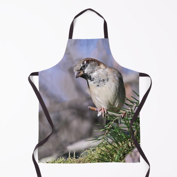 Item preview, r682/ Un Amour de Moineau " Les Oiseaux du jardin " simply life " to Okaio Créations - Olavia-Olao designed and sold by o.okaïo.