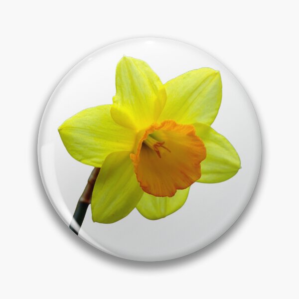 Item preview, Daffodil flower designed and sold by Thavi.