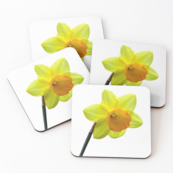 Item preview, Daffodil flower designed and sold by Thavi.