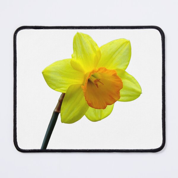Item preview, Daffodil flower designed and sold by Thavi.