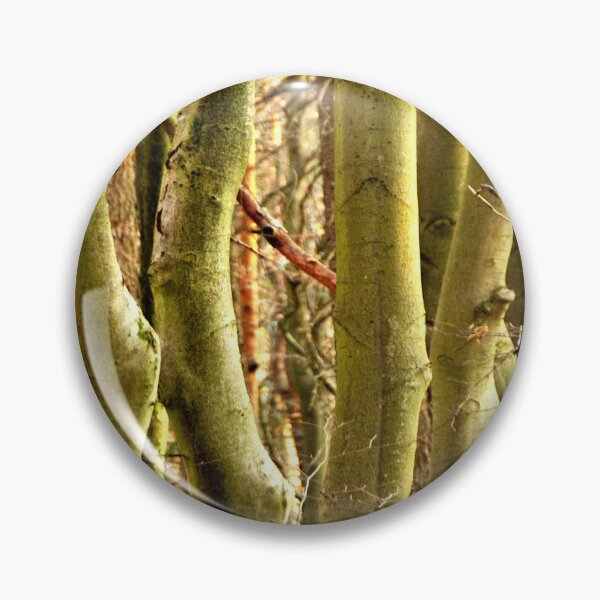 Item preview, Somewhere in the forest of beeches designed and sold by frankuffmann.
