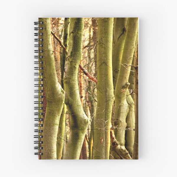 Item preview, Somewhere in the forest of beeches designed and sold by frankuffmann.
