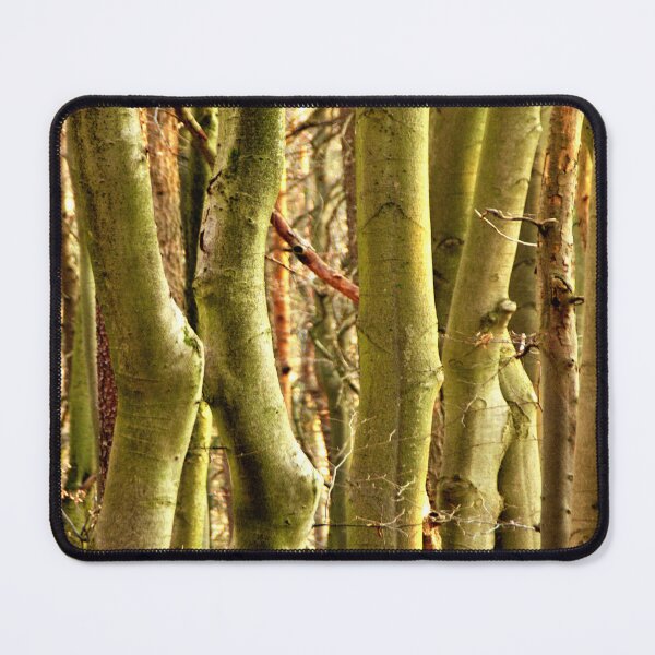 Item preview, Somewhere in the forest of beeches designed and sold by frankuffmann.