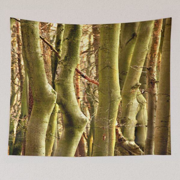 Item preview, Somewhere in the forest of beeches designed and sold by frankuffmann.