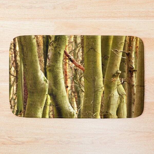 Item preview, Somewhere in the forest of beeches designed and sold by frankuffmann.