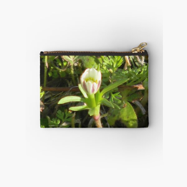 Item preview, Stunted Windflower designed and sold by Navigator.