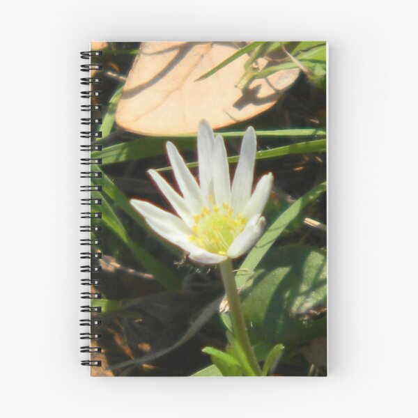 Item preview, Mini Windflower  designed and sold by Navigator.