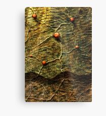 Hermetic Work Metal Print