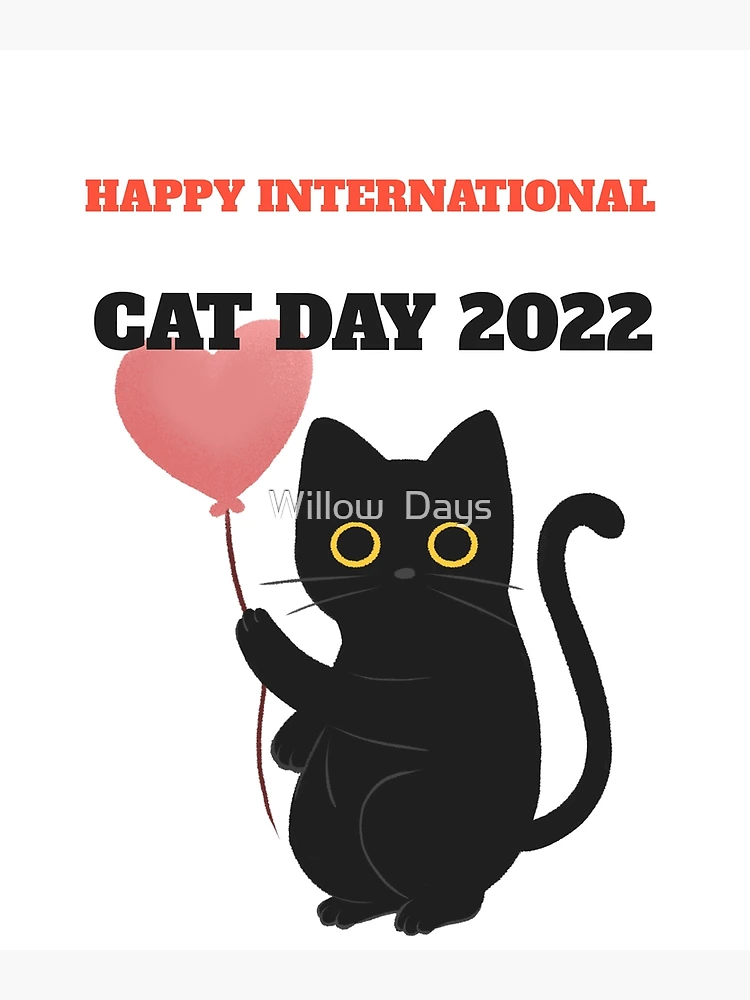 Scaredy Cat Teaser  Happy #InternationalCatDay! We are excited to