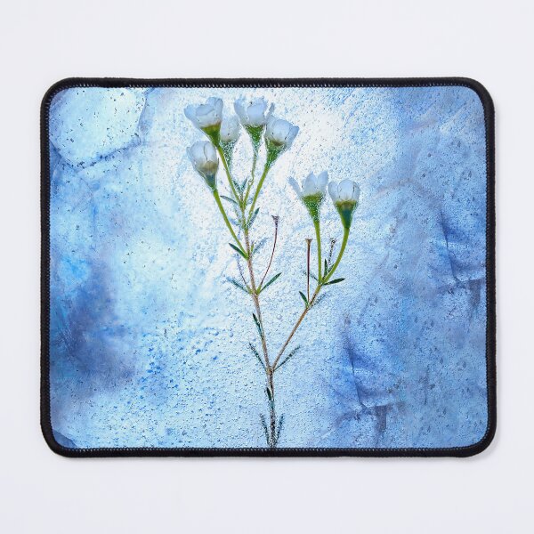 Item preview, Early Morning, Winter Blue designed and sold by CAT-LUVERS.
