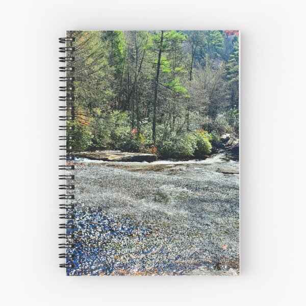 Item preview, All The Way Down Sliding Rock Dupont State Forest designed and sold by LisaWootenPhoto.
