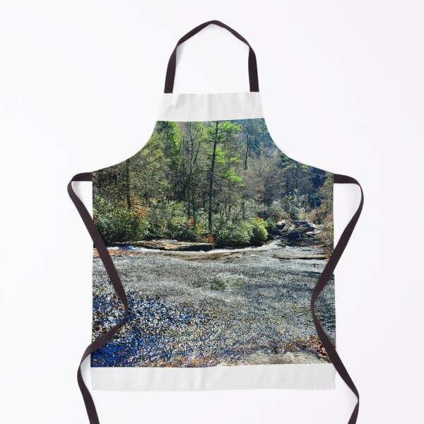 Item preview, All The Way Down Sliding Rock Dupont State Forest designed and sold by LisaWootenPhoto.