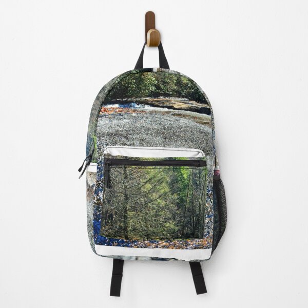 Item preview, All The Way Down Sliding Rock Dupont State Forest designed and sold by LisaWootenPhoto.