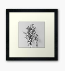 Aged x Light Framed Print