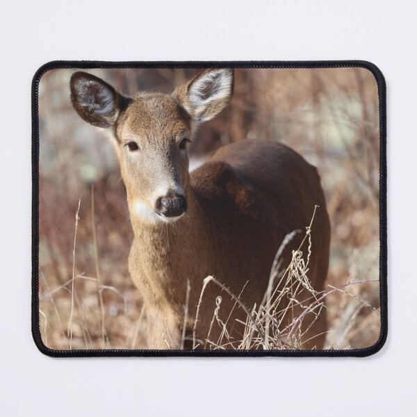 Item preview, Beautiful Whitetail Deer designed and sold by LisaNaturePhoto.