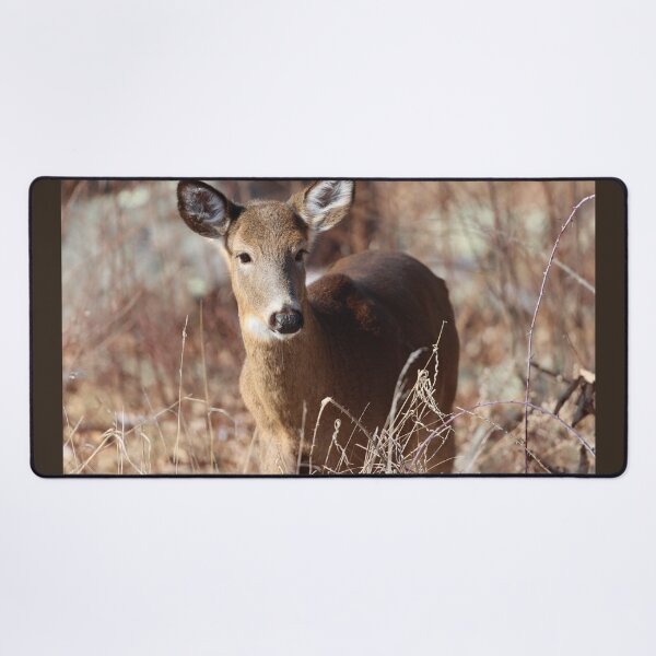 Item preview, Beautiful Whitetail Deer designed and sold by LisaNaturePhoto.
