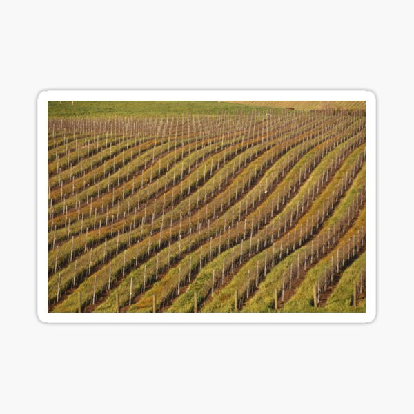 Item preview, Vineyard Pattern designed and sold by Barbara  Brown.