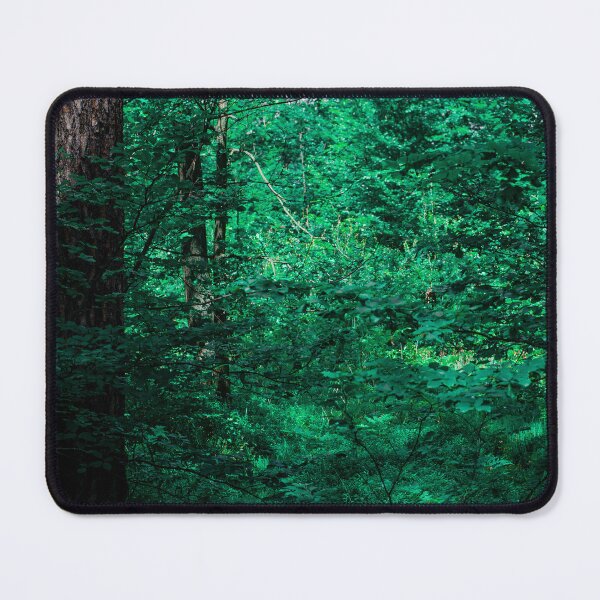 Item preview, Deep forest nature photography designed and sold by agrebila.