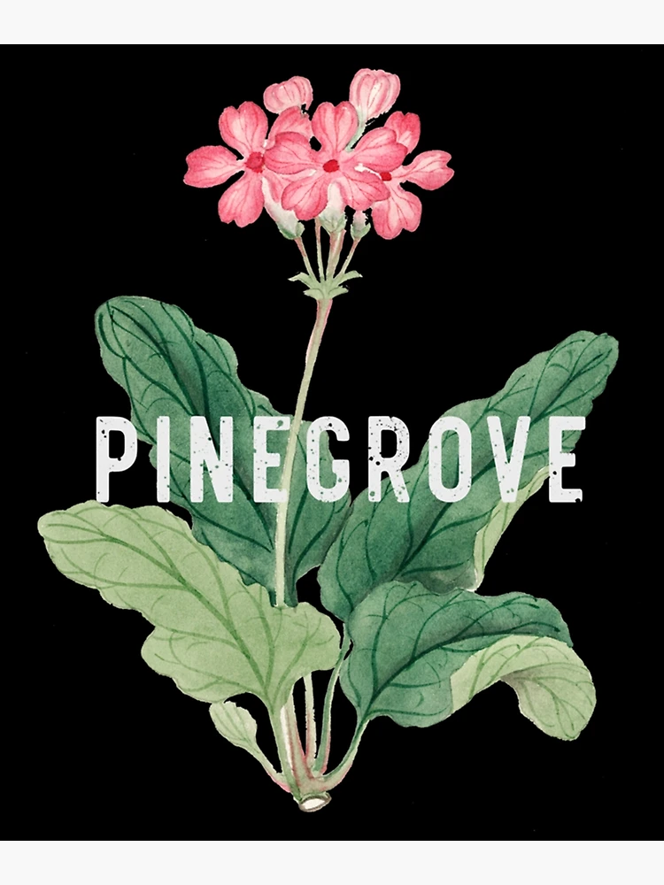 Thumbnail 3 of 3, Poster, Pingrove designed and sold by RGoRebel.