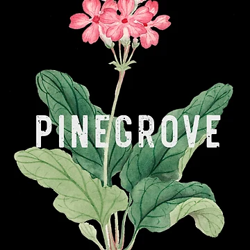 Artwork thumbnail, Pingrove   by RGoRebel