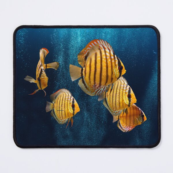 Item preview, WILD DISCUS FISH designed and sold by Danicus666.