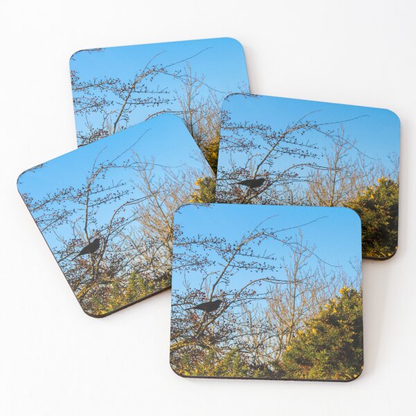 Item preview, Bird in the tree designed and sold by kieraburnsphoto.
