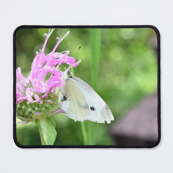 Item preview, Cabbage Butterfly designed and sold by DonnaM.