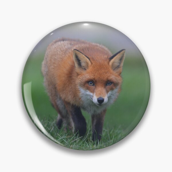 Item preview, Prowling Fox  designed and sold by ClaireChown.