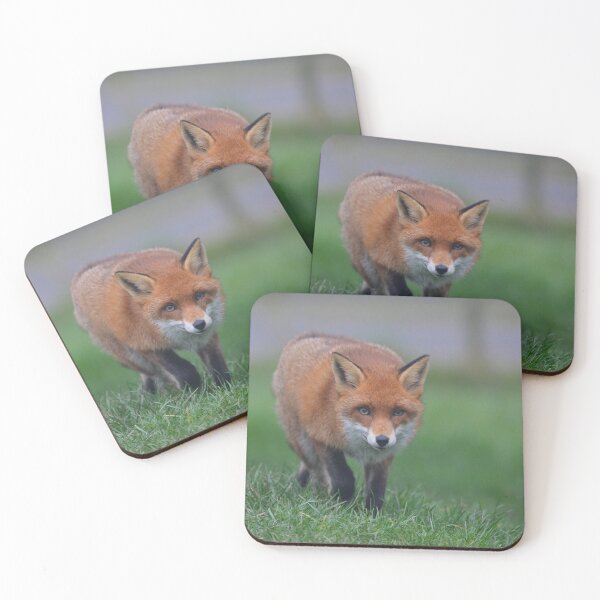 Item preview, Prowling Fox  designed and sold by ClaireChown.