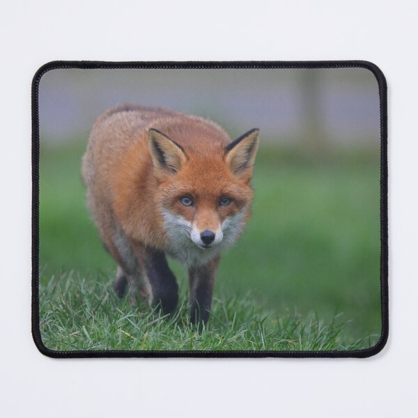 Item preview, Prowling Fox designed and sold by ClaireChown.